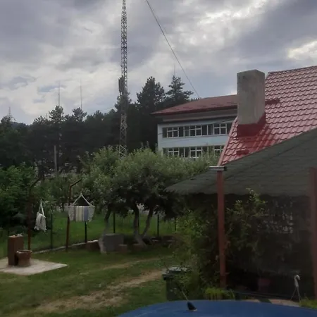 Casa Ioana Capatineni-Paminteni